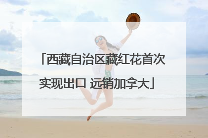 西藏自治区藏红花首次实现出口 远销加拿大