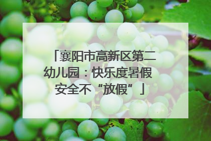 襄阳市高新区第二幼儿园：快乐度暑假 安全不“放假”