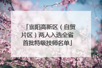 襄阳高新区（自贸片区）两人入选全省首批特级技师名单