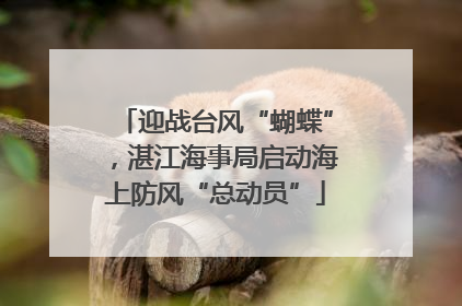 迎战台风“蝴蝶”，湛江海事局启动海上防风“总动员”