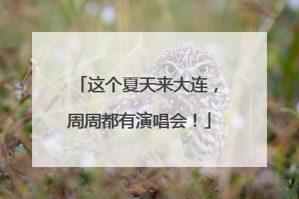 这个夏天来大连，周周都有演唱会！