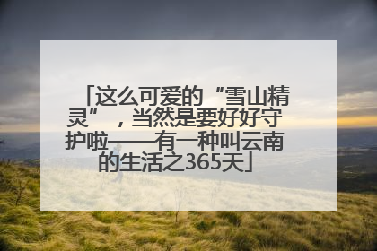 这么可爱的“雪山精灵”，当然是要好好守护啦——有一种叫云南的生活之365天