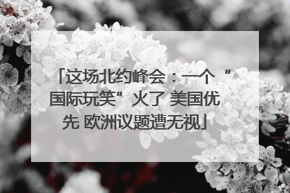 这场北约峰会：一个“国际玩笑”火了 美国优先 欧洲议题遭无视