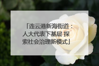 连云港新海街道：人大代表下基层 探索社会治理新模式