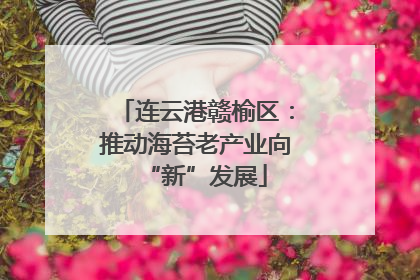连云港赣榆区：推动海苔老产业向“新”发展