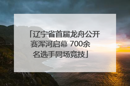 辽宁省首届龙舟公开赛浑河启幕 700余名选手同场竞技