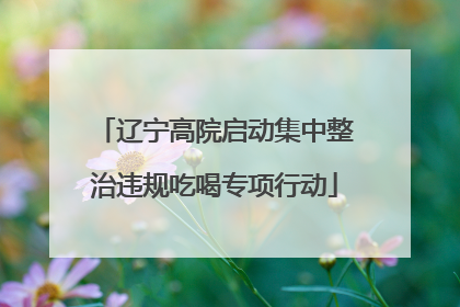 辽宁高院启动集中整治违规吃喝专项行动