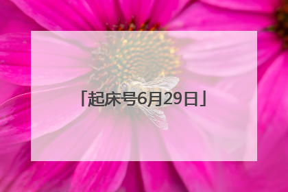 起床号6月29日