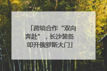 跨境合作“双向奔赴”，长沙装备叩开俄罗斯大门