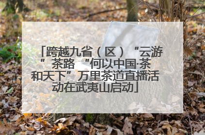 跨越九省（区）“云游”茶路 “何以中国·茶和天下”万里茶道直播活动在武夷山启动