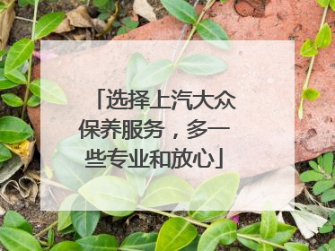 选择上汽大众保养服务，多一些专业和放心