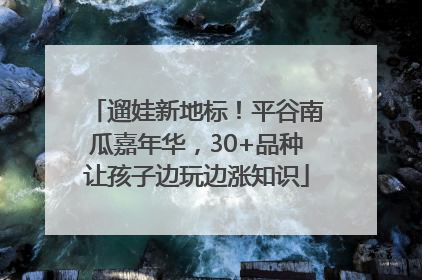 遛娃新地标！平谷南瓜嘉年华，30+品种让孩子边玩边涨知识