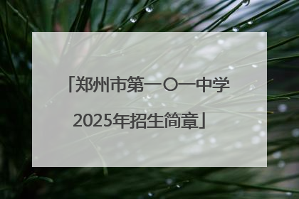 郑州市第一〇一中学2025年招生简章