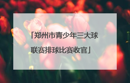 郑州市青少年三大球联赛排球比赛收官
