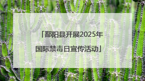 鄱阳县开展2025年国际禁毒日宣传活动