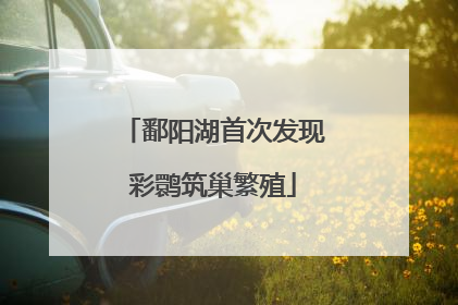 鄱阳湖首次发现彩鹮筑巢繁殖