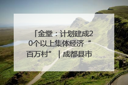 金堂：计划建成20个以上集体经济“百万村”｜成都县市新城高质量发展