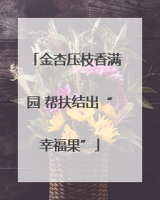 金杏压枝香满园 帮扶结出“幸福果”