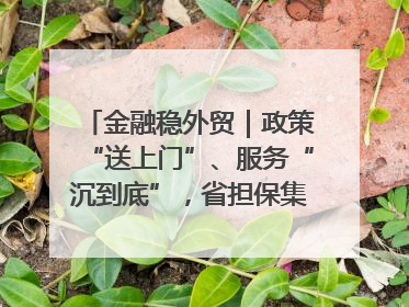 金融稳外贸｜政策“送上门”、服务“沉到底”，省担保集团加力支持外经贸高质量发展