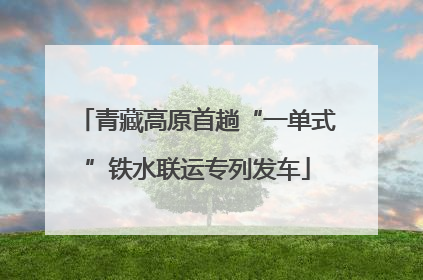 青藏高原首趟“一单式”铁水联运专列发车