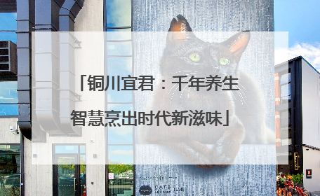 铜川宜君：千年养生智慧烹出时代新滋味