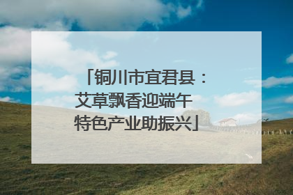铜川市宜君县：艾草飘香迎端午 特色产业助振兴