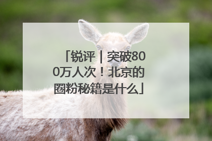 锐评｜突破800万人次！北京的圈粉秘籍是什么