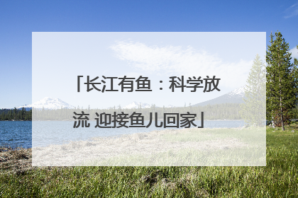 长江有鱼：科学放流 迎接鱼儿回家