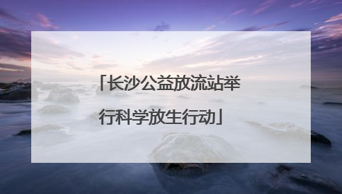 长沙公益放流站举行科学放生行动