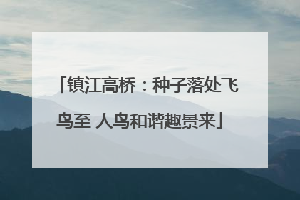 镇江高桥：种子落处飞鸟至 人鸟和谐趣景来