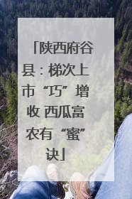 陕西府谷县：梯次上市“巧”增收 西瓜富农有“蜜”诀