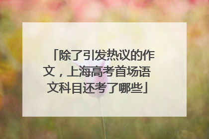 除了引发热议的作文，上海高考首场语文科目还考了哪些