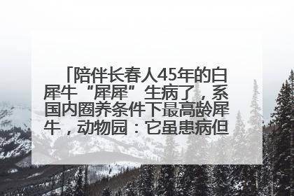 陪伴长春人45年的白犀牛“犀犀”生病了，系国内圈养条件下最高龄犀牛，动物园：它虽患病但未处于弥留之际