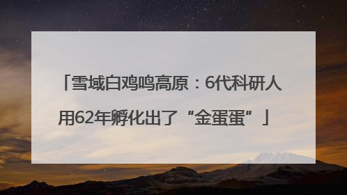 雪域白鸡鸣高原：6代科研人用62年孵化出了“金蛋蛋”
