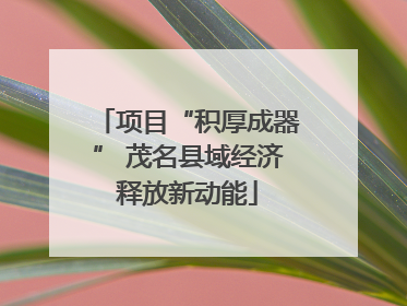 项目“积厚成器” 茂名县域经济释放新动能