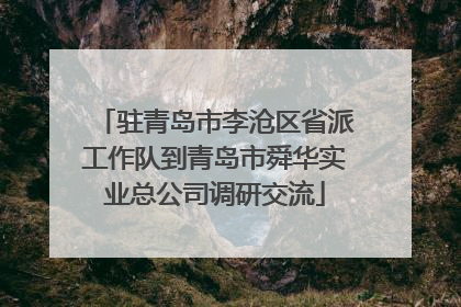 驻青岛市李沧区省派工作队到青岛市舜华实业总公司调研交流