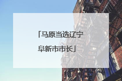 马原当选辽宁阜新市市长