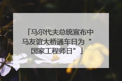 马尔代夫总统宣布中马友谊大桥通车日为“国家工程师日”