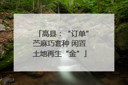 高县：“订单”苎麻巧套种 闲置土地再生“金”