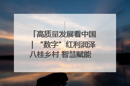 高质量发展看中国｜“数字”红利润泽八桂乡村 智慧赋能绘就振兴画卷