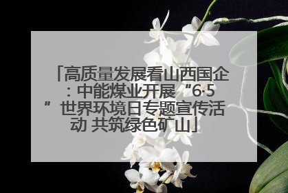 高质量发展看山西国企：中能煤业开展“6·5”世界环境日专题宣传活动 共筑绿色矿山