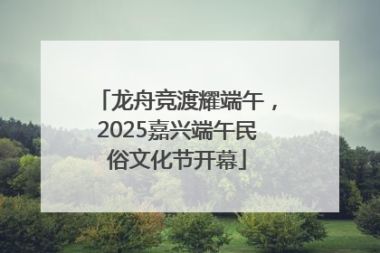 龙舟竞渡耀端午，2025嘉兴端午民俗文化节开幕