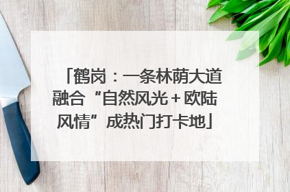 鹤岗：一条林荫大道融合“自然风光＋欧陆风情”成热门打卡地