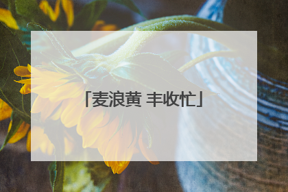 麦浪黄 丰收忙