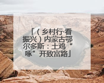 （乡村行·看振兴）内蒙古鄂尔多斯：土鸡“啄”开致富路