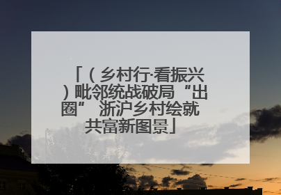 （乡村行·看振兴）毗邻统战破局“出圈” 浙沪乡村绘就共富新图景