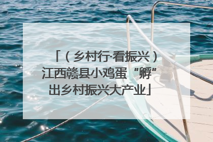 （乡村行·看振兴）江西赣县小鸡蛋“孵”出乡村振兴大产业
