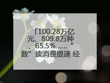 100.28万亿元、809.8万种、65.5%……“数”读消费提速 经济潜力释放