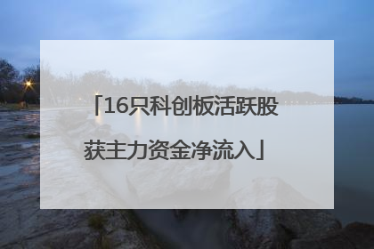 16只科创板活跃股获主力资金净流入