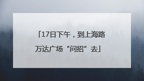 17日下午，到上海路万达广场“问招”去